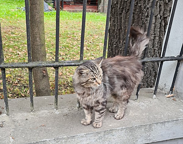 071 - Черняховск